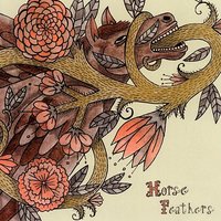 Honest Doubters - Horse Feathers