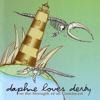 A Year On An Airplane - Daphne Loves Derby