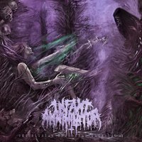 Behold the Kingdom of the Wretched Undying - Infant Annihilator, Chris Whited, Tyler Shelton