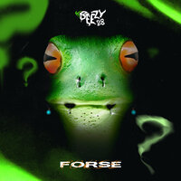 Forse - K beezy 28