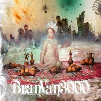 Stillness - Bran Van 3000
