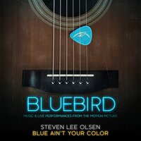 Blue Ain't Your Color - Steven Lee Olsen