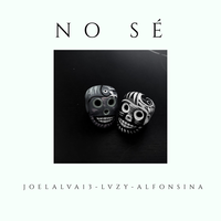No sé - Alfonsina, LVZY