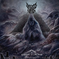 Into The Soil - Defeated Sanity