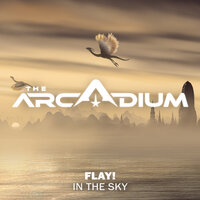 In The Sky - Flay!