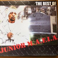 Can I Get Witcha - Junior M.A.F.I.A., Lil Cease, The Notorious B.I.G.