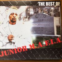 Realms Of Junior M.A.F.I.A. - Junior M.A.F.I.A., Lil Cease, Chico Del Vec