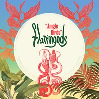 Jungle Birds - Flamingods