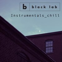 Bound - Black Lab