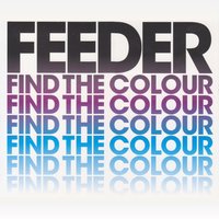 Find the Colour - Feeder