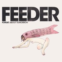 Tinsel Town - Feeder