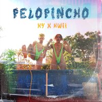 Pelopincho - K4, Hwii