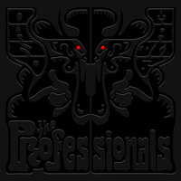 My House - The Professionals