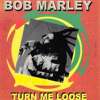 Downpresser - Bob Marley