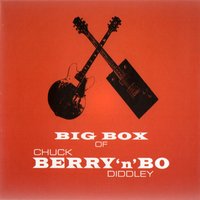Don't Let It Go (Hold onto What You Got) - Bo Diddley