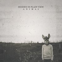 No Way Out - Hidden in Plain View