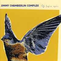 Love Is Real - Jimmy Chamberlin Complex