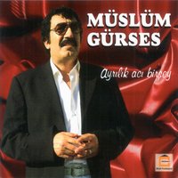 Güle Güle Git - Müslüm Gürses