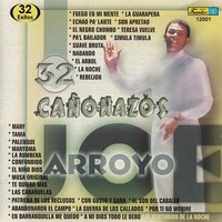 La Rumbera - Joe Arroyo, La Verdad