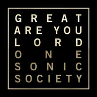 I Just Want You - One Sonic Society