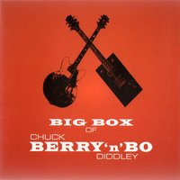 Spend My Life with You - Bo Diddley