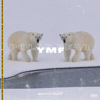 Polar Bear - Ymf