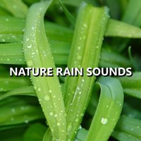 Instant Rain - Rain Sounds