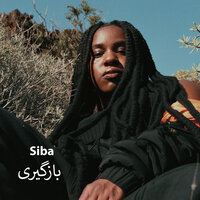 بازگیری - Siba