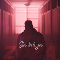 Šta bih ja - Zoza
