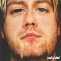 Too Much - Babybird, Stephen Jones, Luke Scott