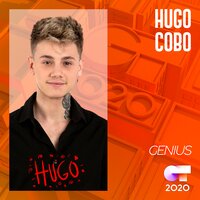Hugo Cobo
