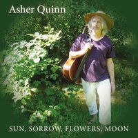 Can't Help Falling in Love - Asher Quinn