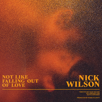 Not Like Falling Out Of Love - Nick Wilson