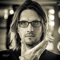 The Pin Drop - Steven Wilson