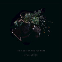 Hum - Ayla Nereo