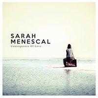 Adventure of a Lifetime - Sarah Menescal
