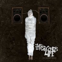 Bag of Bones - The Last Ten Seconds of Life