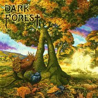 On the Edge of Twilight - Dark Forest