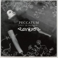 The Banks of This River Is Night - Peccatum