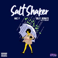 Salt Shaker - Mac P Dawg, DOLEY BERNAYS