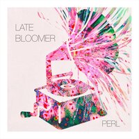 Late Bloomer - Perl