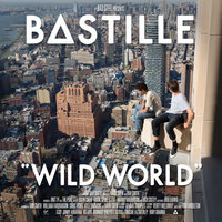 Winter Of Our Youth - Bastille