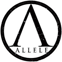 Lost in Your Words - Allele