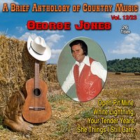 World's Worst Loser - George Jones