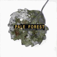 Puny Minds - Pale Forest