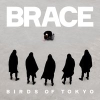 Discoloured - Birds Of Tokyo, Hayley Mary