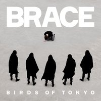 Birds Of Tokyo