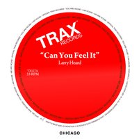 Can You Feel It - Larry Heard