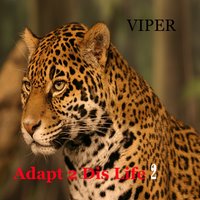 Inscription - Viper