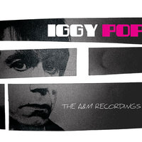 Baby, It Can't Fall - Iggy Pop